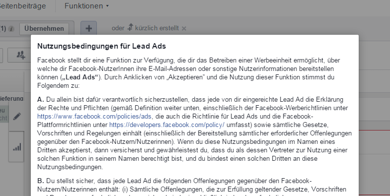 nutzungsbedingungen_lead_ads