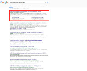 Online-Hochschulmarketing Google Suche