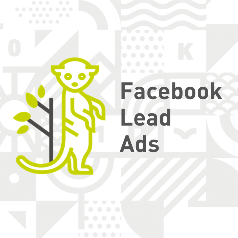 Facebook Lead Ad Strategie