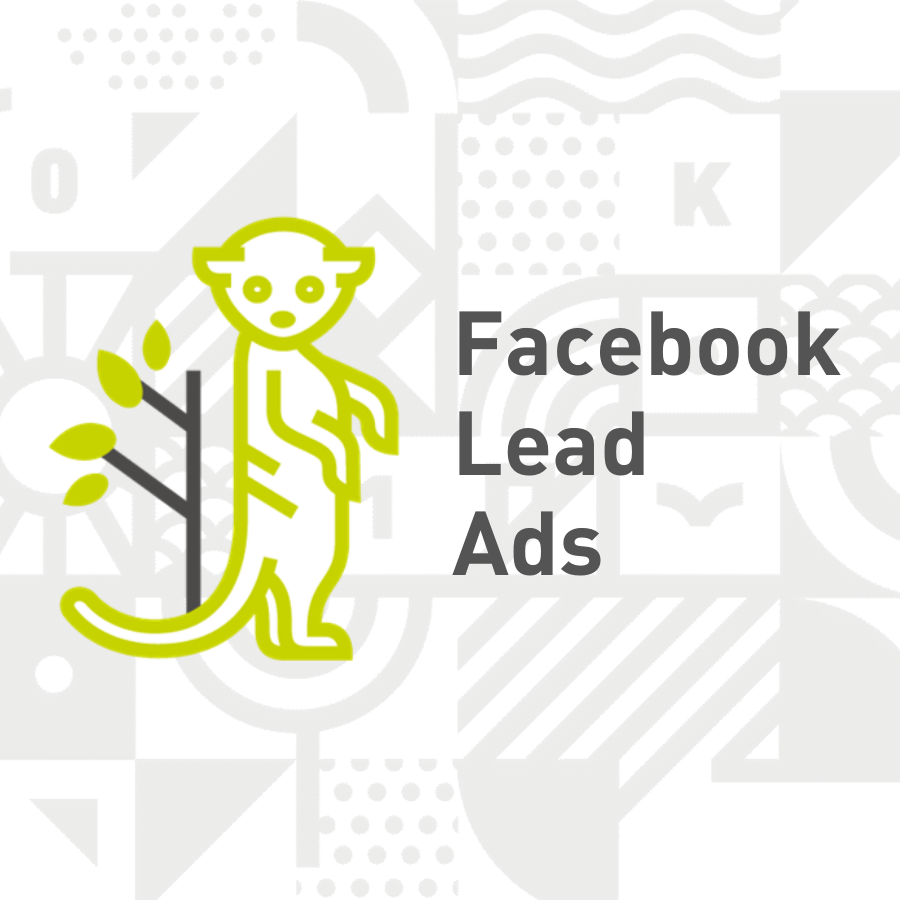 Facebook Lead Ad Strategie