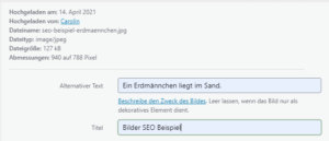 Screenshot SEO-Oberfläche für Tags im Backend.