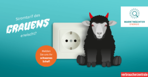 Klickkomplizen Portfolio: Referenz Headerbild Marktwächter