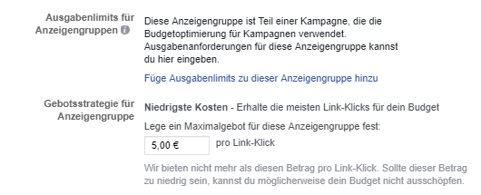 Facebook_Kampagnenbudget_anzeigengruppenübergreifend_Maximalgebot