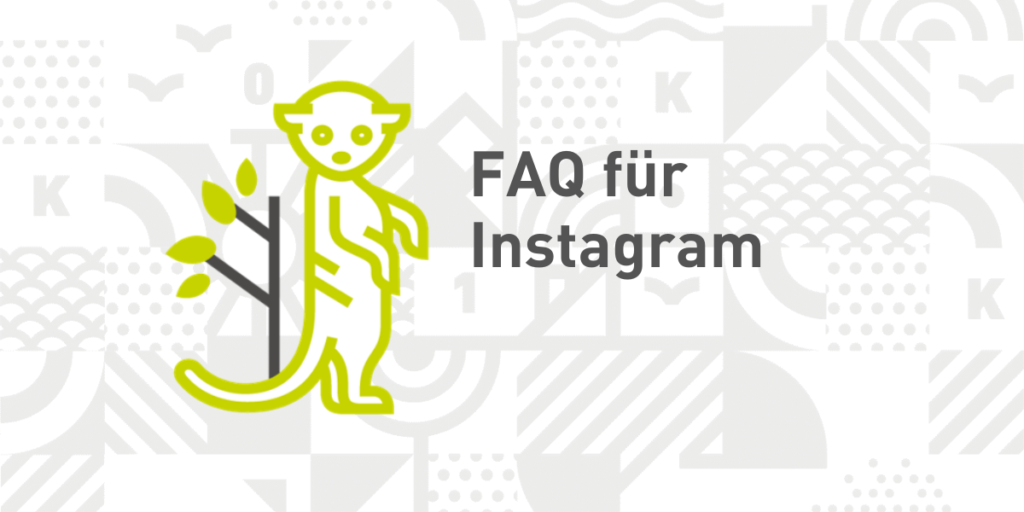 Headerfoto mit der Überschrift: FAQ für Instagram.