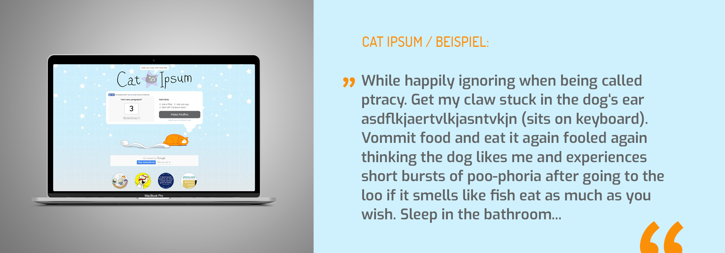 Blindtexte - Cat Ipsum