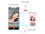 TikTok Ads - In-Feed Account Ads