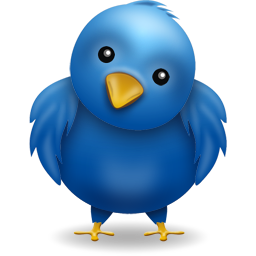 Twitter, der Microblogging-Dienst auch für Einsteiger
